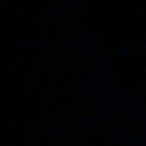 Meet your Posher, Jandyl